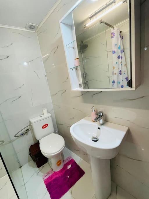 Lavender Luxury Apartment Oradea Zewnętrze zdjęcie