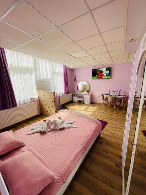 Lavender Luxury Apartment Oradea Zewnętrze zdjęcie